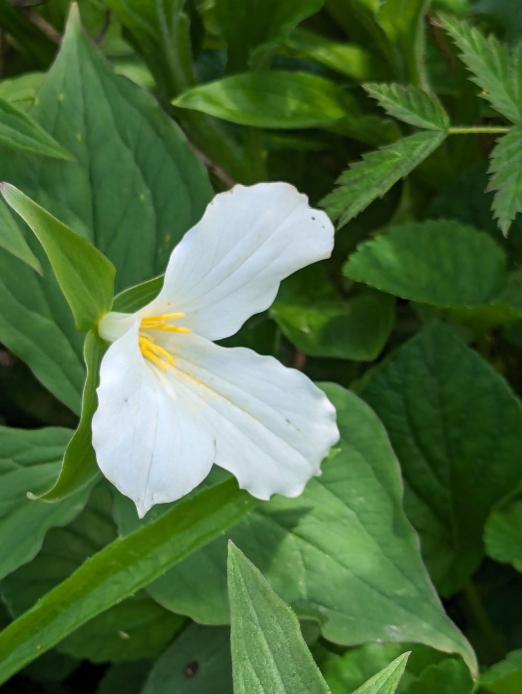 Tea time roundup. Re: The last couple of&nbsp;weeks.