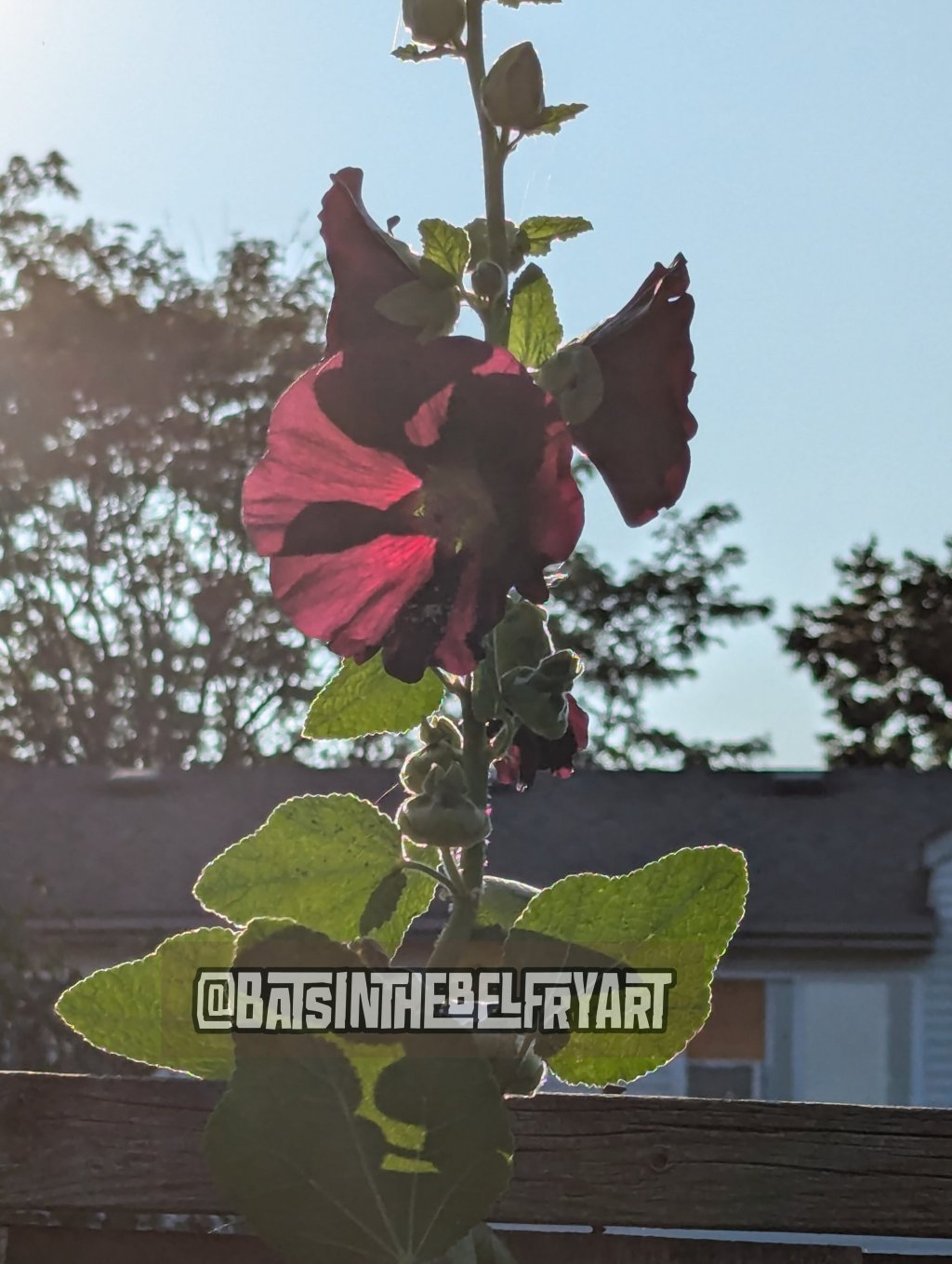 Forcibly extroverted for the last X amount of&nbsp;days.