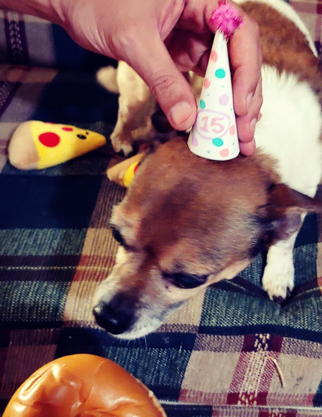 Old man turns&nbsp;15