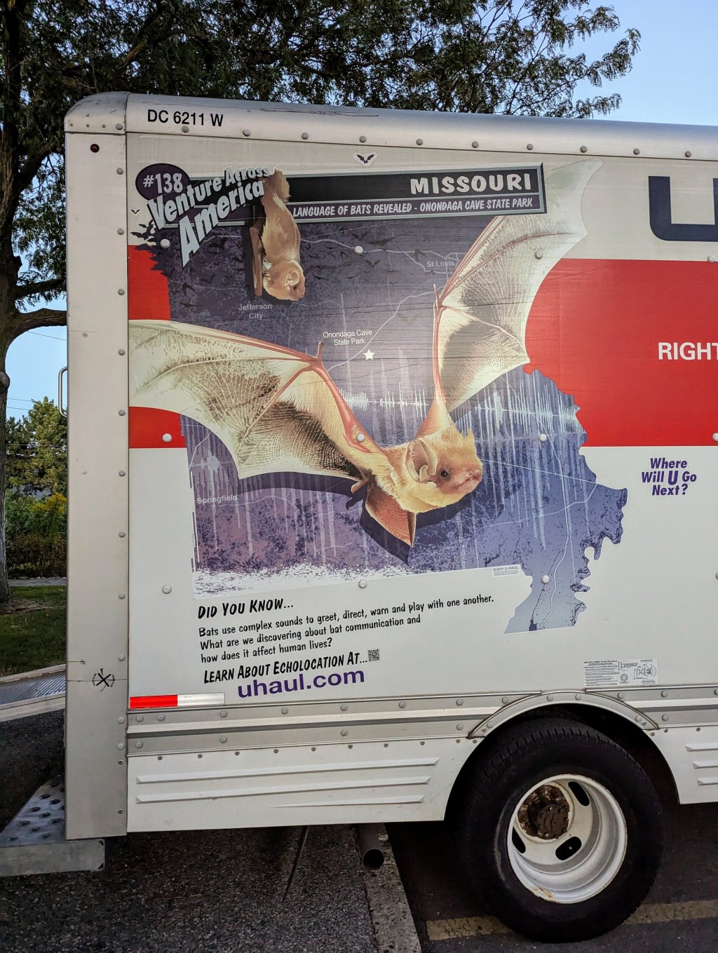 Settling in & rising from the&nbsp;ashes