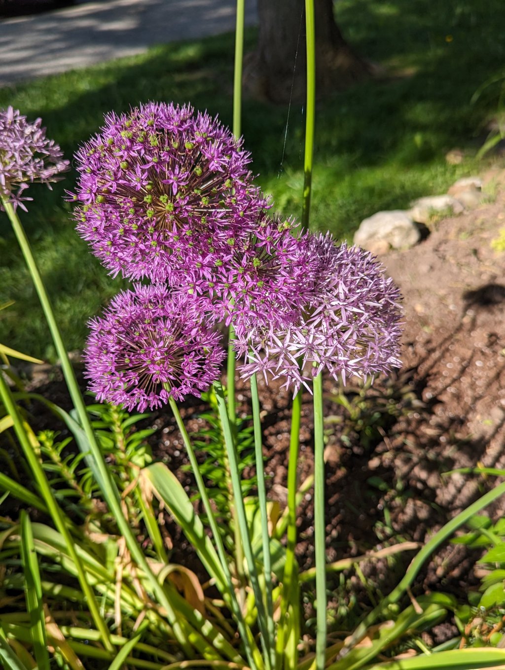 Two posts in one day after no posts for a&nbsp;month?