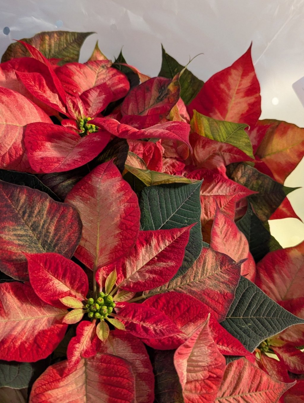 Hobbies and varied interests of&nbsp;sorts.